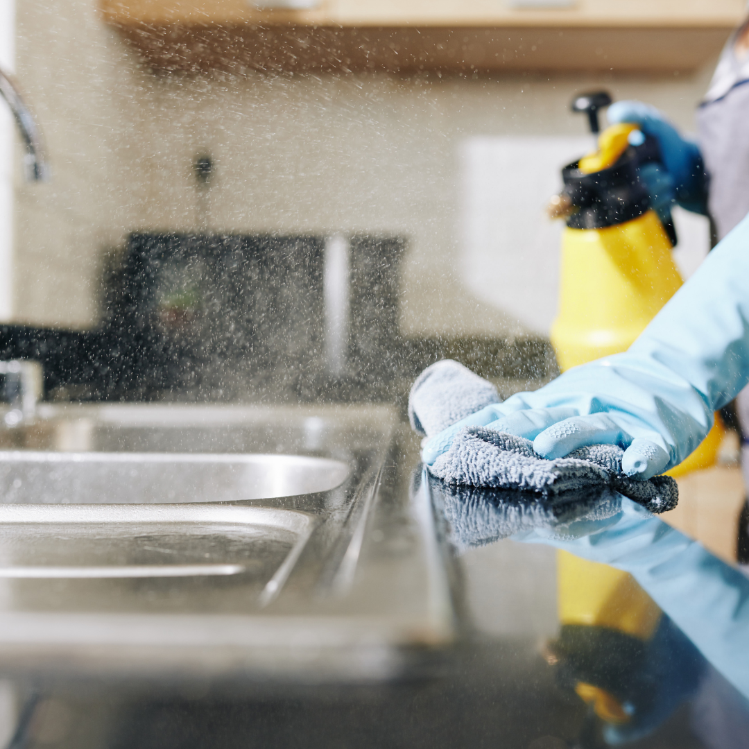 Cleaning Services Promotion Instagram Post (5)